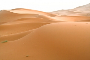 Dune Landforms