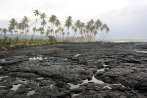 Lava Field