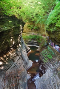 Watkins Glen valley