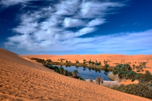 Oasis in desert