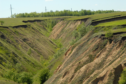 Landform Picture